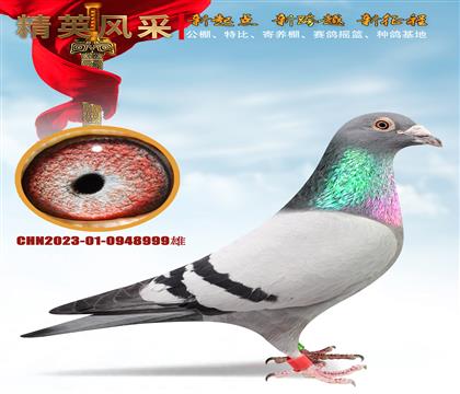 �������ΰ����ڡ�