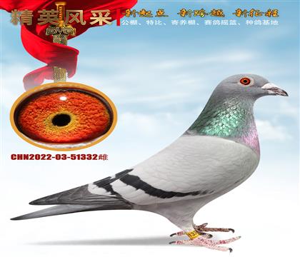 �ھ���ĸ.332