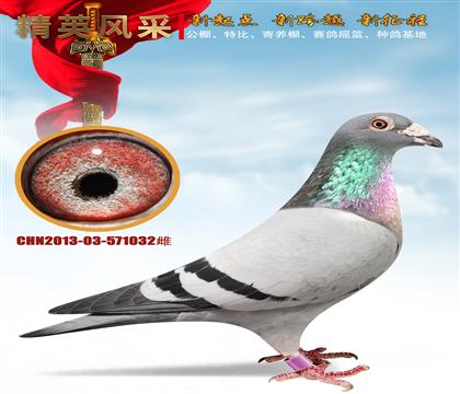 ʯ����ɣ��ʿ.ͷ���ִ�