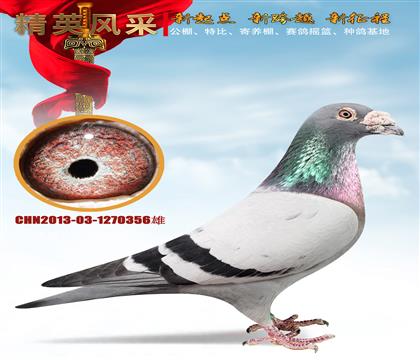 ʯ����ɣ��ʿ.ͷ������