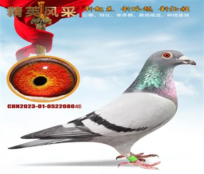 ����098��Ѫ