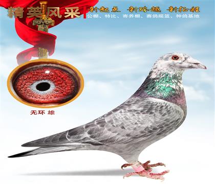 �û�998��.����