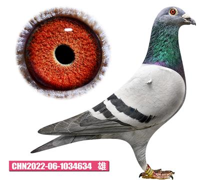 ������-�����޵�634