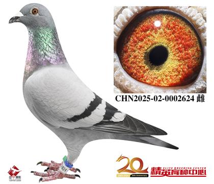 ������������098������Ů