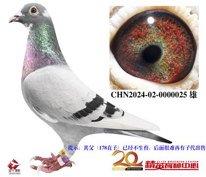 Ӣ��˹��������178����ֱ��