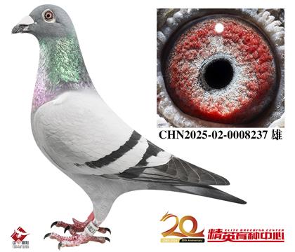 �������롰������ֱ��Ů����