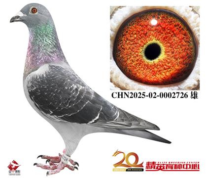 �������롰��ѻ��ض���ȫ�ֵ�ֱ��