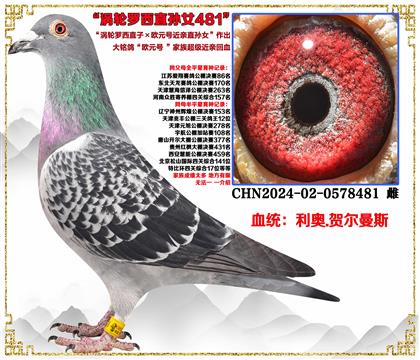 ���ص��Ƽ������¡���������ֱ�ӡ�ŷԪ�Ž���ֱ��Ů����Ѫ