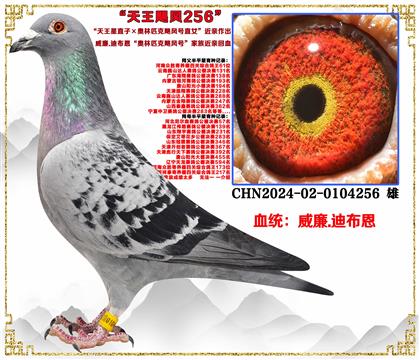 ���ص��Ƽ��������ϲ�����������ֱ�ӡ�����ƥ��쫷��ֱŮ������