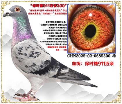 ����ʱ��911ֱ��X��ʱ��911ȫ�ֵ�ֱŮ������