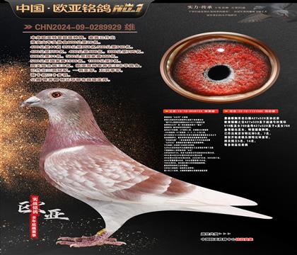 ղɭ�������Ĺڸ�������124X919ֱŮ080