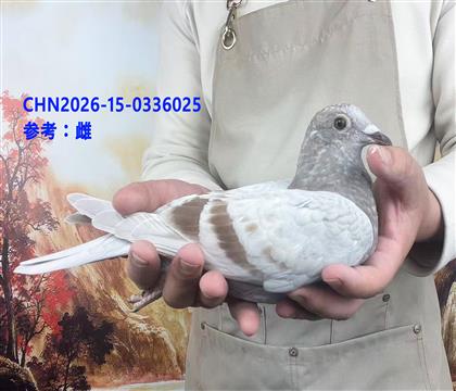 �Ͽ�.���ǲ��ˡ��ú�š�ֱ��x�������塱ֱ��Ů