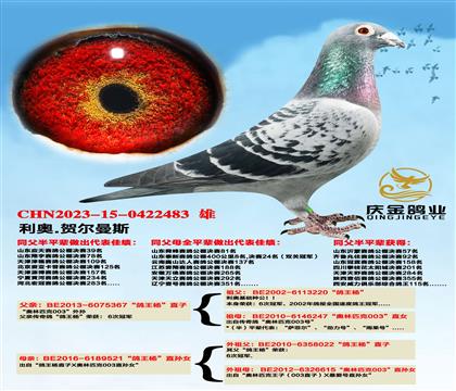 ����.�ն���˹�������ֱ��x�������ֱ��Ů