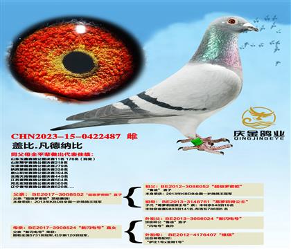 �Ǳ�.�����ɱȡ���������ŷ��ֱ��x�������硱ֱŮ