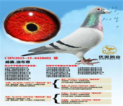 ����.�ϲ�����ī�ƶ��ɡ�ֱ��x��ī�ƶ��ɡ�ֱŮ