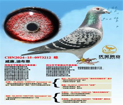 ����.�ϲ���������ƥ��쫷�š�ֱ��x������ƥ��쫷�š�ֱŮ