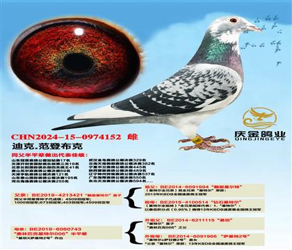 �Ͽ�.���ǲ��ˡ�������ض���ֱ��x������ƥ�˻��ض�006����