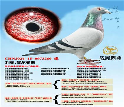 ����.�ն���˹�����ƶ���ֱ��x������003��������Ů