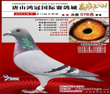 唐山鸿冠国际赛鸽城550公里加站赛44名 雌