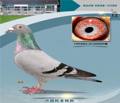 ����614X061ɣ��ʿֱ��337X����926ֱŮ239