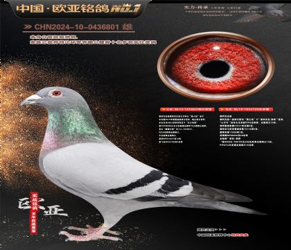 ��ƿ�ԭ�ᡰ��������823X720