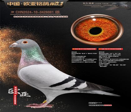 ��ƿ�ԭ�ᡰ����˼�顱788X��ϣ����672