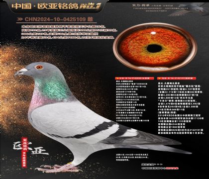 �Ǳ�ԭ��³��ֱ��030X��ޱ���ꡱ�¸��׵�191