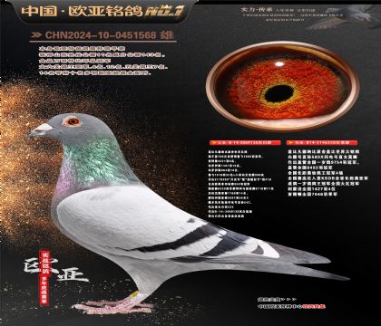 �Ǳ�ԭ�ả����136X�ʼһ�ֱŮ358