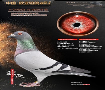 �Ǳ�.�����ɱ�ԭ��998X359