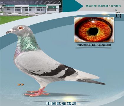 ɣ��ʿ���׸�������X�ر�15��ƽ��