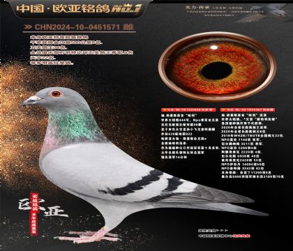 ��.����˹ԭ�ᡰ������638X��������367