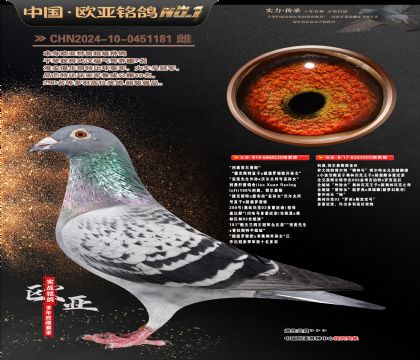 ����ԭ��220X���������۴�003