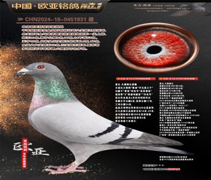 �Ǳ�.�����ɱ�ԭ��998X199