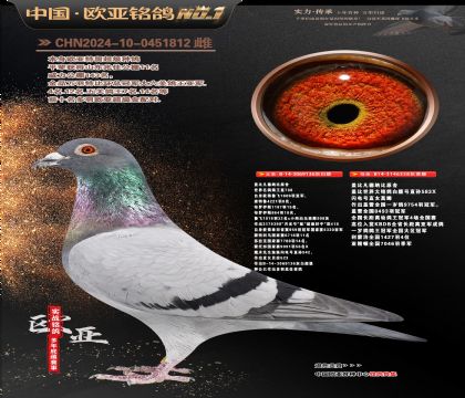 �Ǳ�ԭ�ả����136X�ʼһ�ֱŮ358