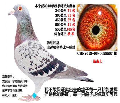 500����11��������������ɣ��ʿ��