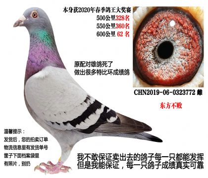 600����62�����������ܣ�