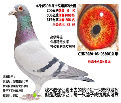 ���ص㣩���蹫�����ظ���33λ��ղɭС���x������