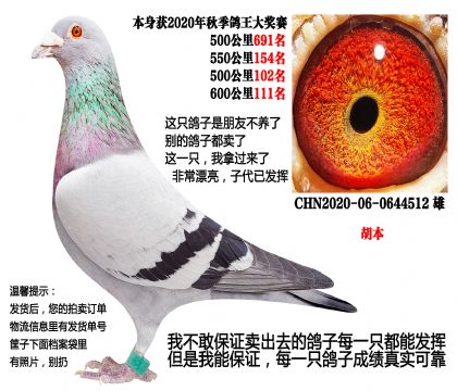 ���Ĺأ�500+550+500+600��������