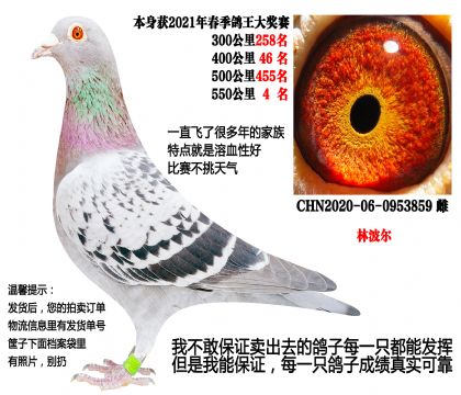 ���ص㣩550����4�����ֲ����������ָ�