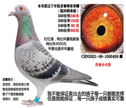 ���ص㣩���������߼�����Ժ���Ĺظ�����ղɭС�����