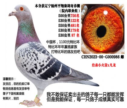 ���ص㣩����ƽ�������Ժ����ظ�����ղɭС���x������