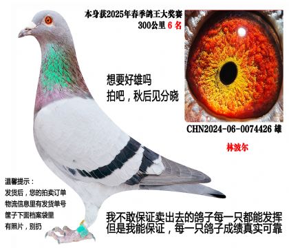 ���ص㣩300����6�����ֲ������ǳ�ţ