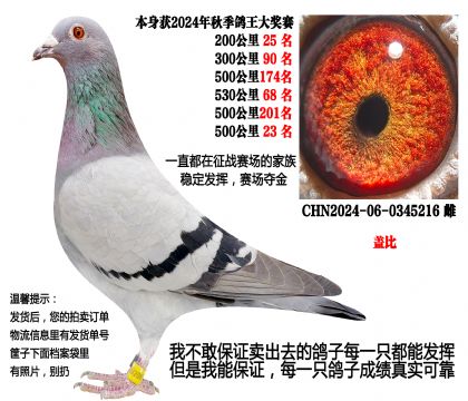 530����68����500����23�����Ǳȣ��ȶ�����