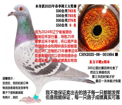 550����6������������x������