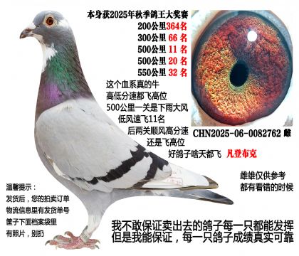 25���＾�ɼ��룬11����20����32���عظ�λ�����ǲ��ˣ�