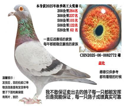 25���＾520����62�����Ǳȣ�