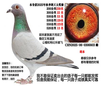 25���＾4��500���520����13�����عظ�λ��������