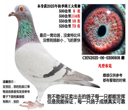 ��ѹ���ص㣩25��4��500����عظ�λ�����ǲ��ˣ�