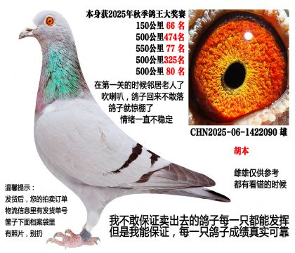 25���＾4��500����Ĺسɼ��루������