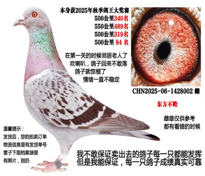 25���＾4��500����Ĺسɼ��루�������ܣ�